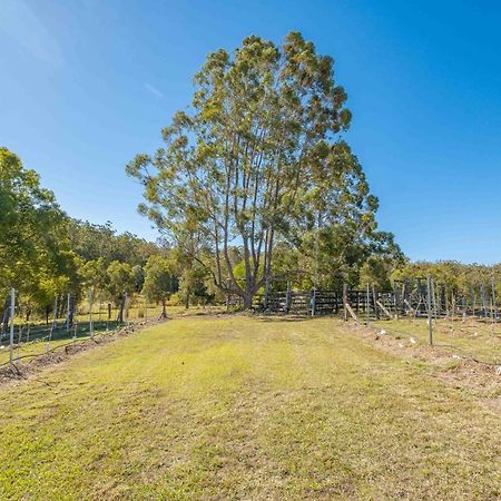 Villa Widgereedoo Farm. Vineyard Views. Peaceful Retreat. Tamaree Esterno foto